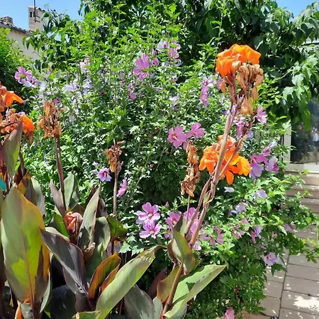 Maisonnette charmante avec piscine privative La Garde  Esterno foto